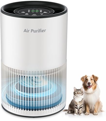 Amazon | IPSコスメティックス アニオンエア | IPSコスメティックス