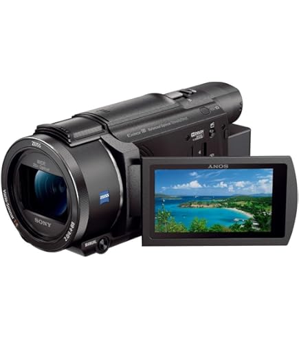 Amazon.co.jp: SONY デジタルHDビデオカメラレコーダー CX550V