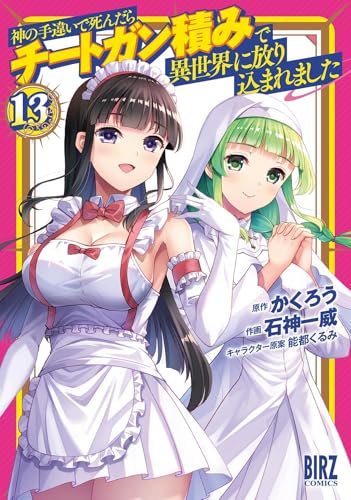神の手違いで死んだらチートガン積みで異世界に放り込まれました(13
