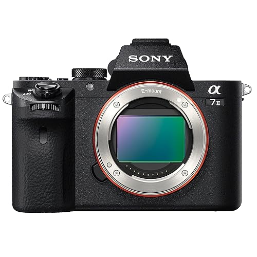 ミラーレス一眼 α7ii でフルサイズデビューしました！SONY α7 II ILCE
