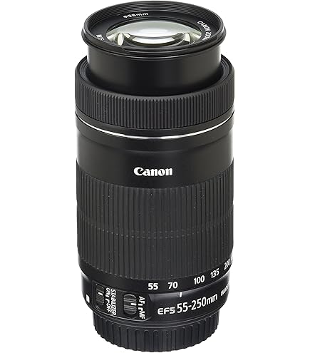 Amazon.com : Canon EF-S 55-250mm f/4-5.6 IS STM Telephoto Zoom