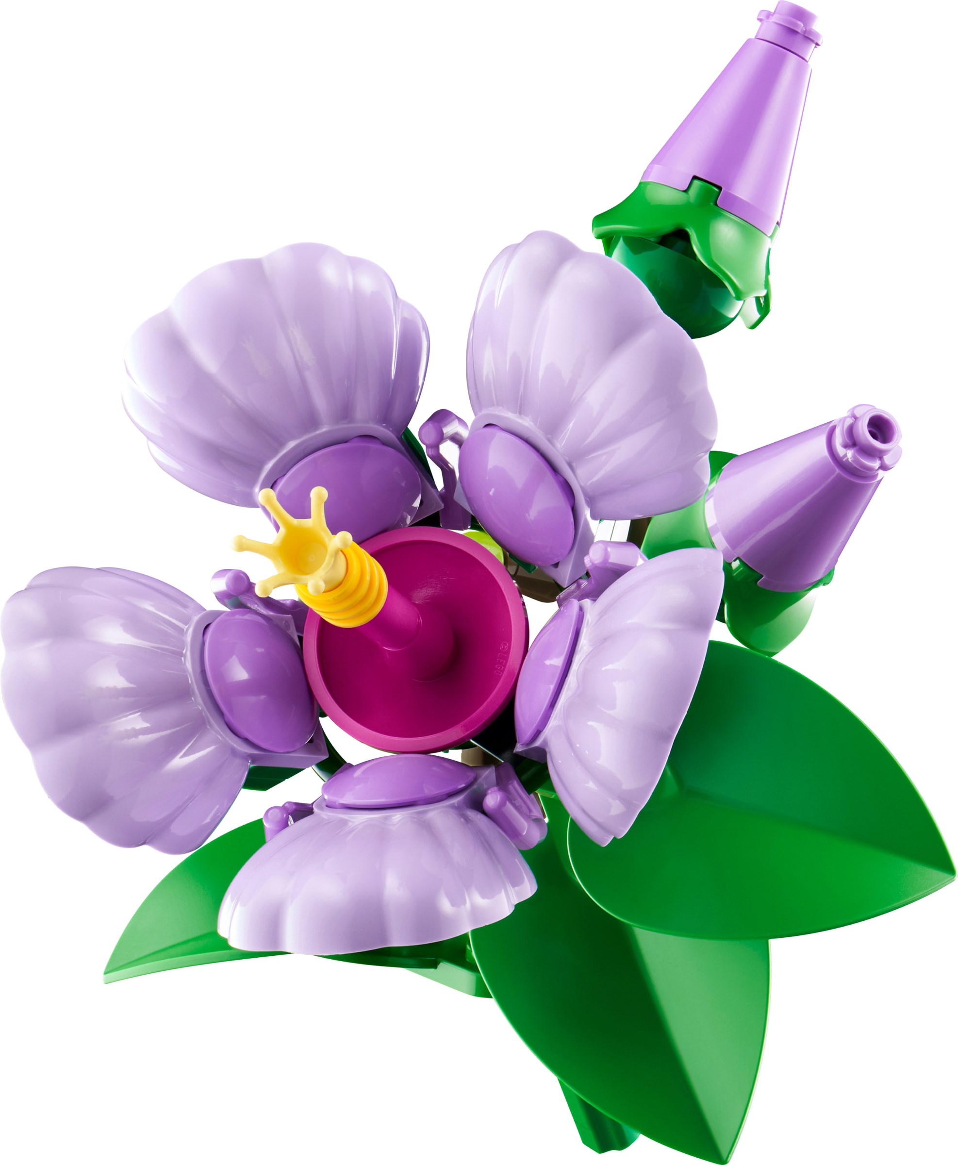 LEGO Botanicals Hibiscus and Mini Bonsai Trees unveiled! | Brickset