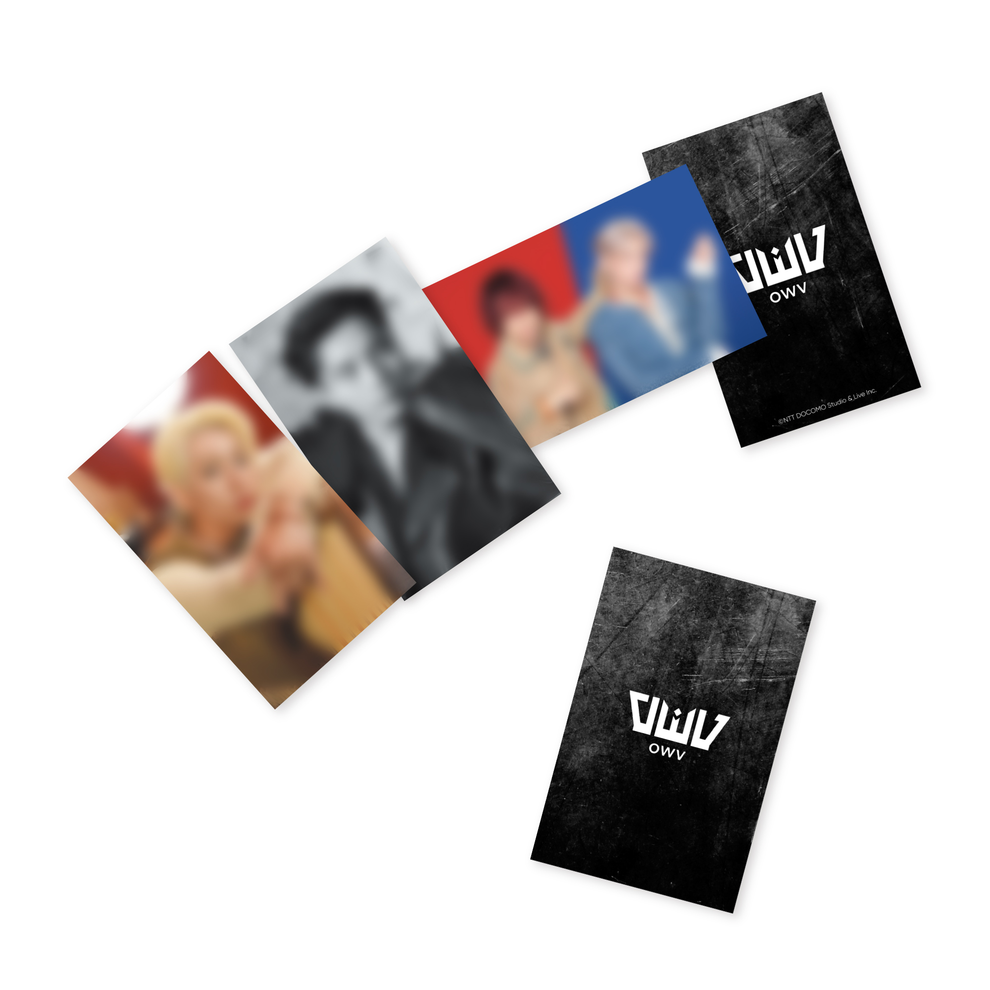 本田 康祐【OWV ONLINE STORE】