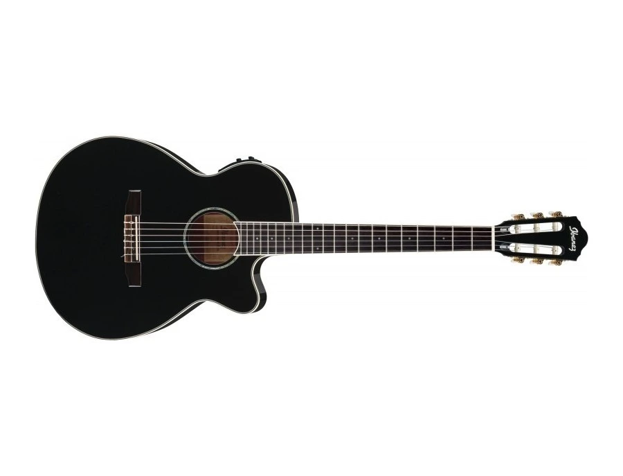 Ibanez AEG10NII BK - What To Know & Where To Buy | Equipboard