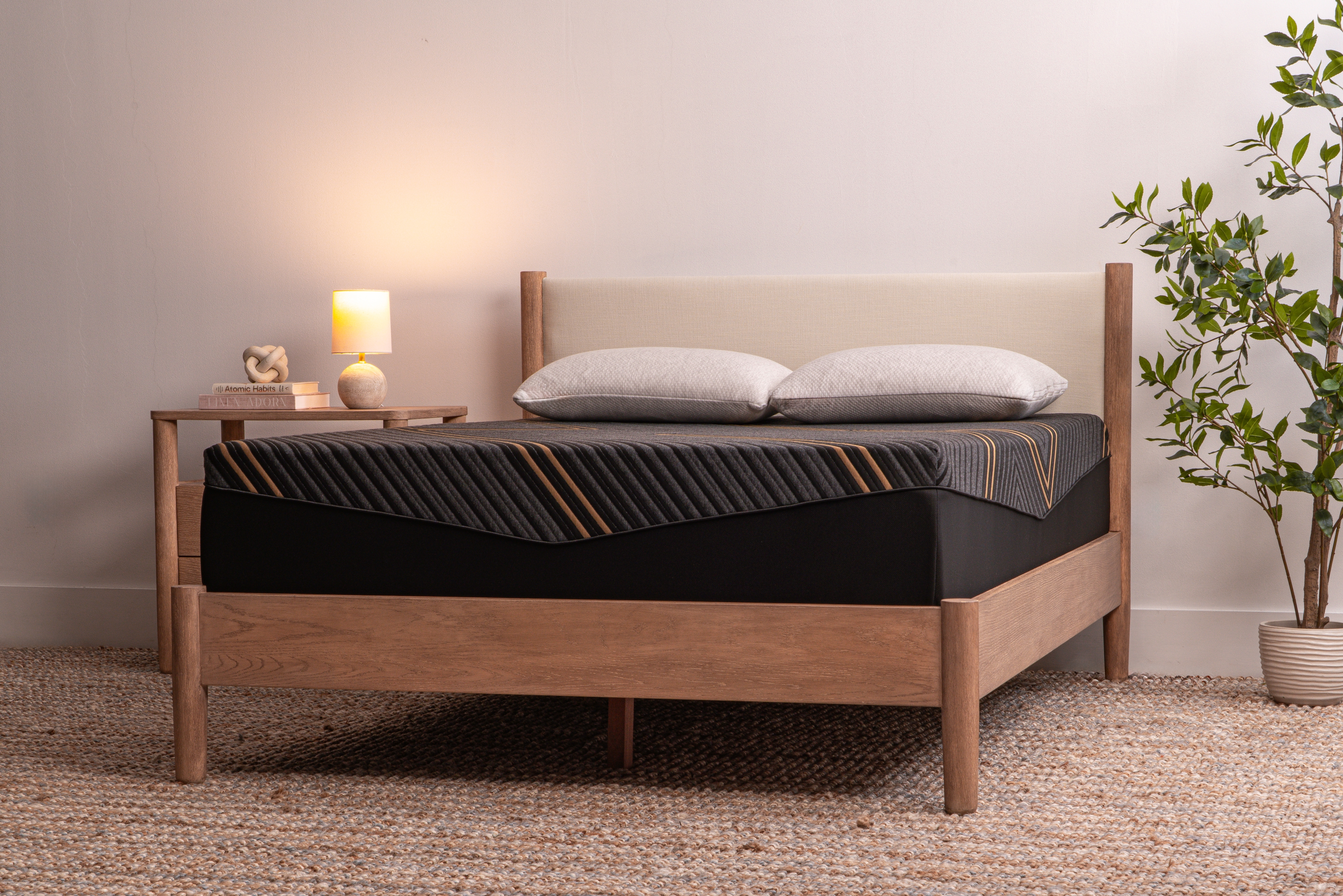 Brooklyn Bedding Alpine 25WI13ALPF33XL 40 Winks TXL Alpine Firm