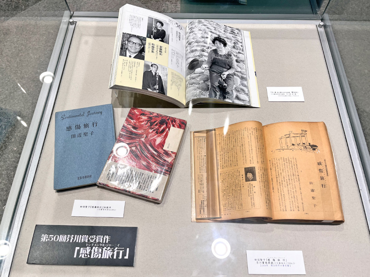 芥川賞受賞作集セット 102回から110回 芥川賞受賞作集セット 102回から