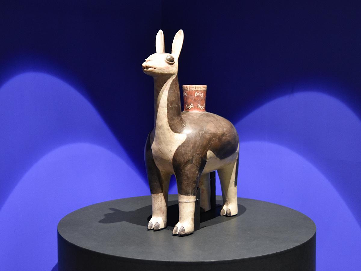 仙台市博物館で「古代アンデス文明展」 土器やミイラなど資料200点