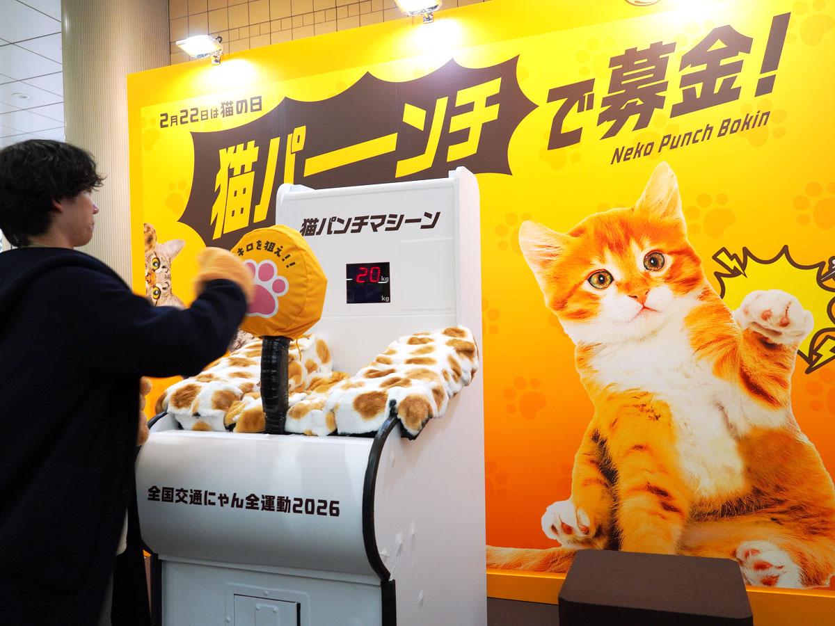 代々木公園で魚介グルメフェス「魚ジャパンフェス」 80ブース - シブヤ