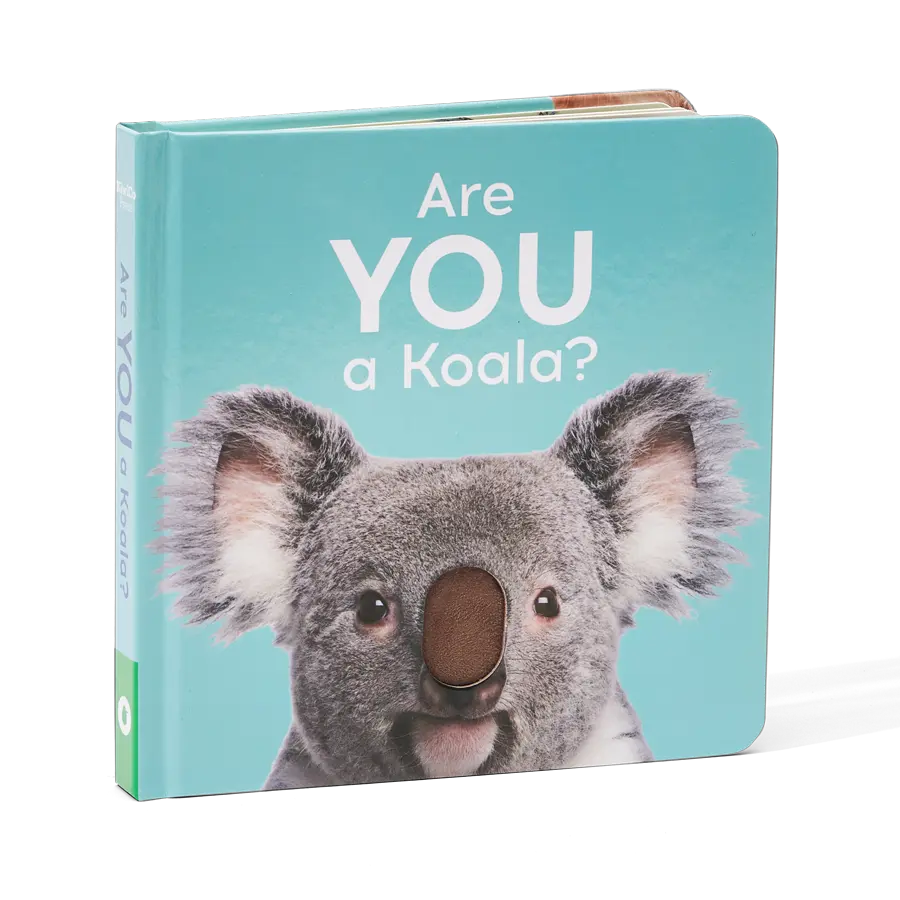 Are You A Koala? | KiwiCo
