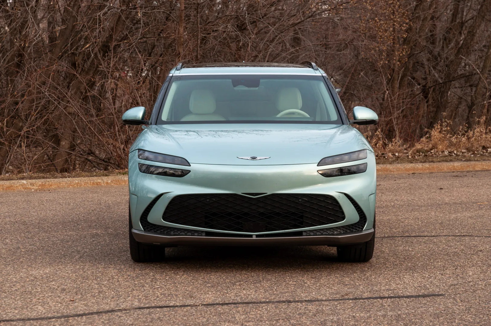 Genesis GV60 review, plug-in hybrid pass, China WTO complaint