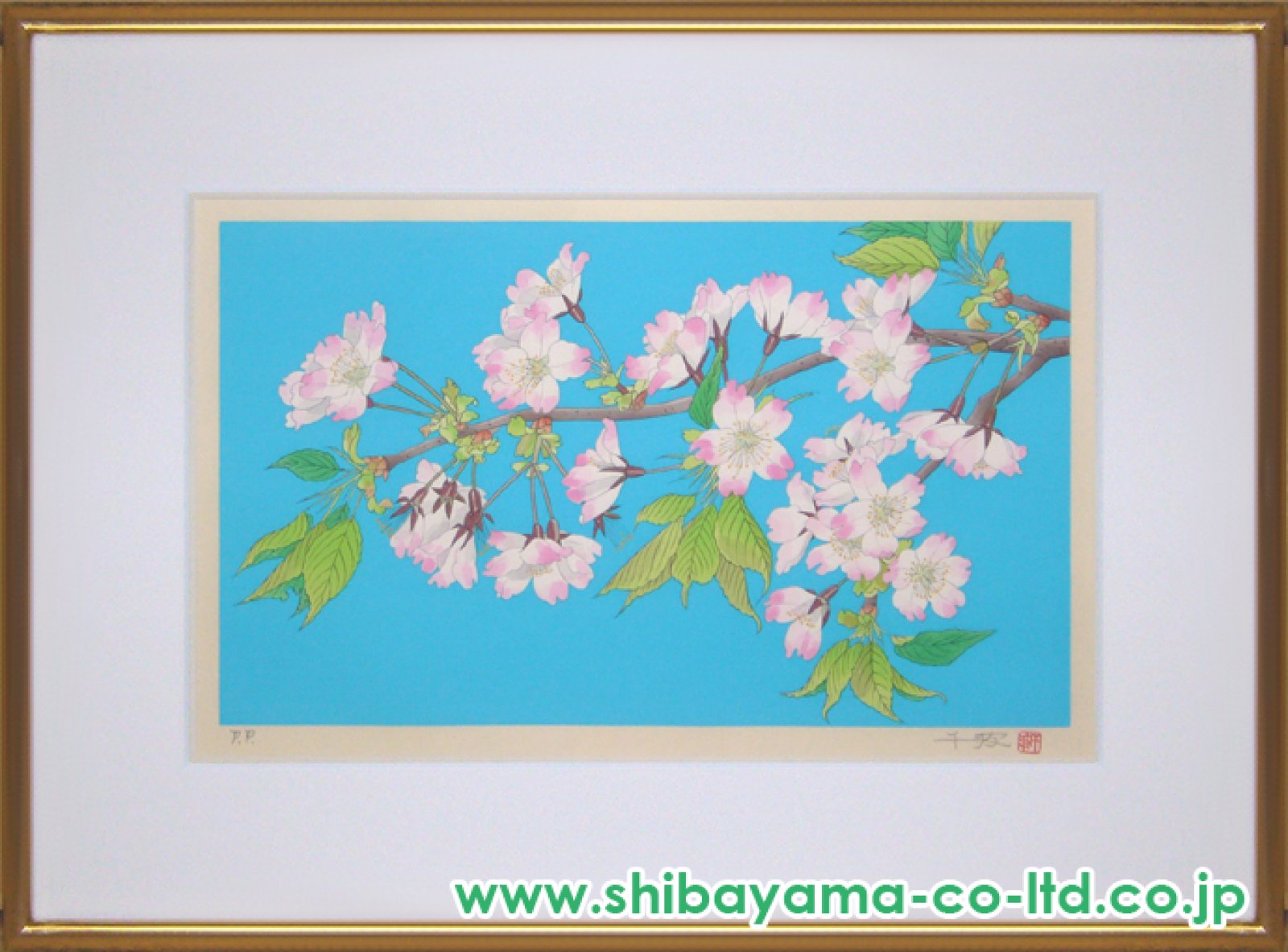 中島千波「大島桜」木版画 :: 絵画買取・販売 - シバヤマ