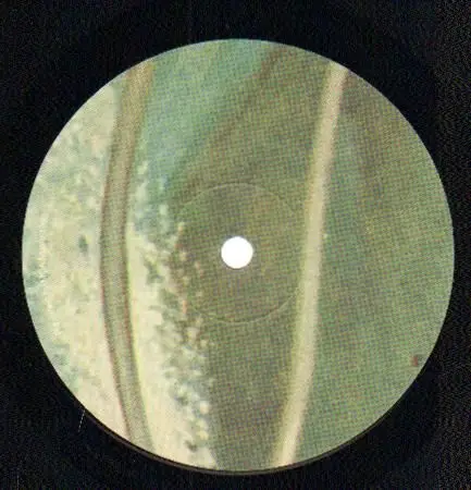 Two Lone Swordsmen Stay Down NEAR MINT Warp Vinyl LP | eBay