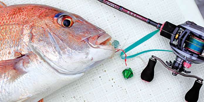 真鯛狙いなら紅牙！】最新ロッドとリールを一挙にご紹介｜どんなシーン