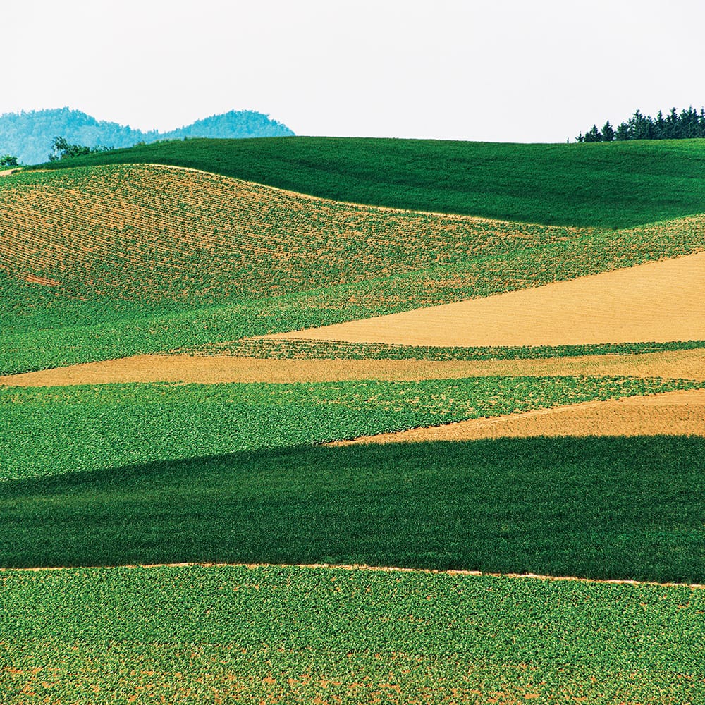 日本を代表する風景写真家・前田真三を再発見する「Landscapes