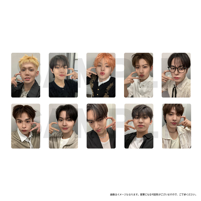 トレーディングカードA（ランダム全10種）｜TREASURE｜mu-moショップ