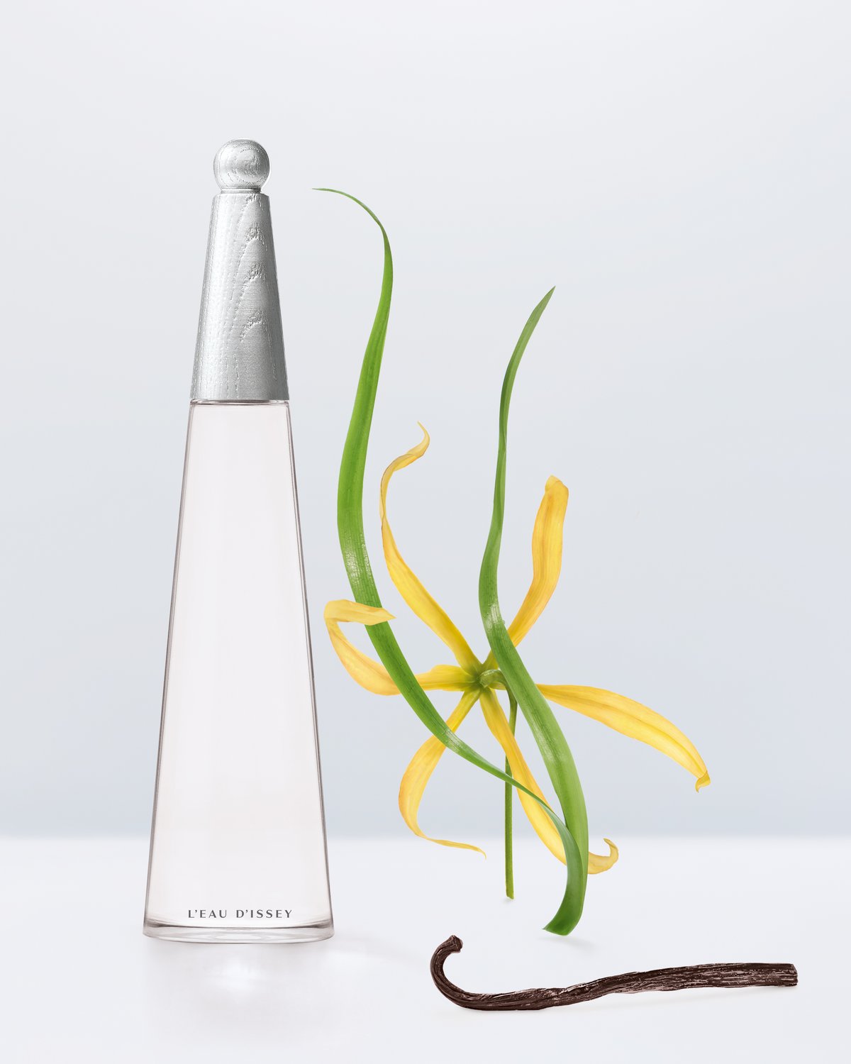 イッセイ ミヤケ パルファム】「ロードゥ イッセイ」新作は