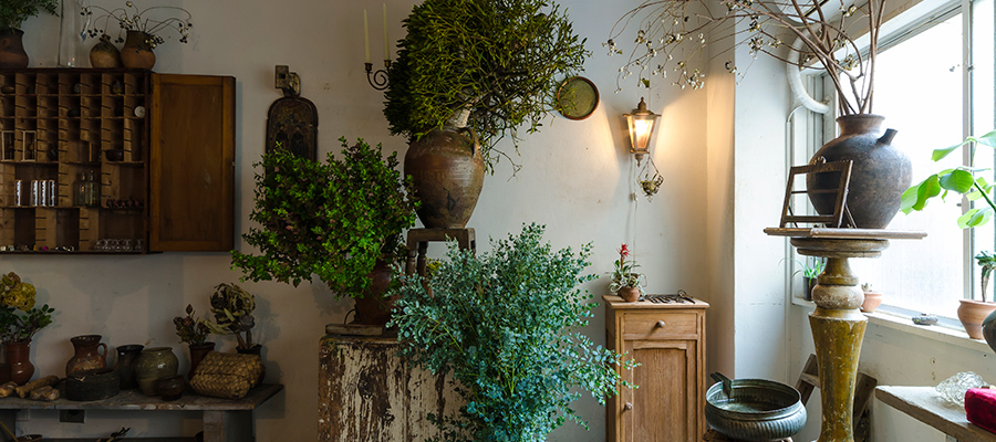 マンションの中の小さな店-1-南青山「はいいろオオカミ＋花屋西別府