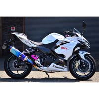 NASSERT Evolution TypeII フルエキゾーストマフラー Ninja400 - バイク