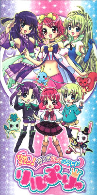 ひめチェン！ おとぎちっくアイドル リルぷりっ カードファイル[セガ