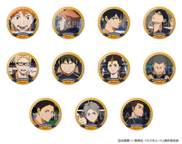 ハイキュー！！ トレーディング缶バッジ ～烏野セレクションVol.2～ 11