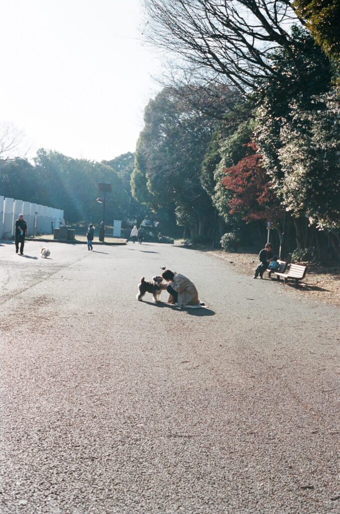 菊池亜希子と、〈ナナミカ〉のバルマカンコート。 | Article