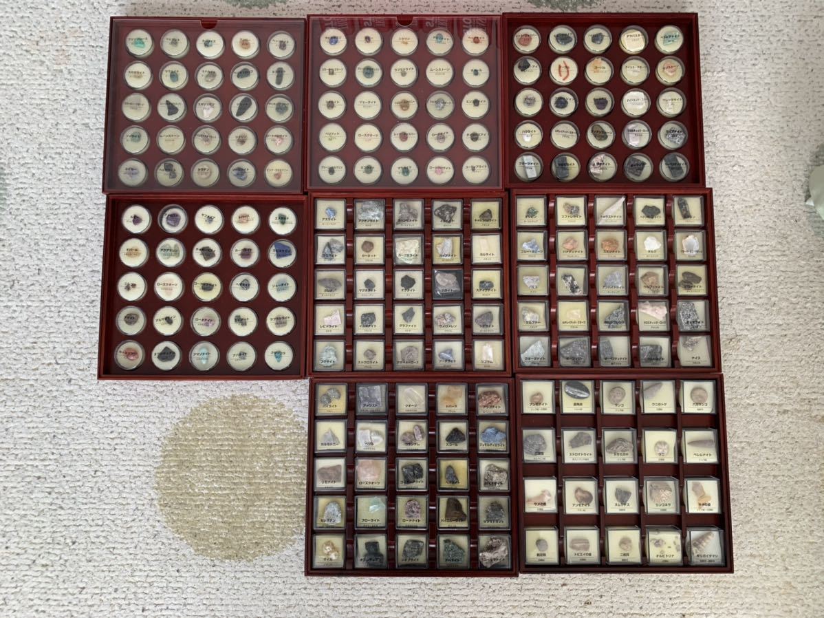 ディアゴスティーニ⭐️トレジャーストーン 鉱物 天然石 化石 標本 8箱