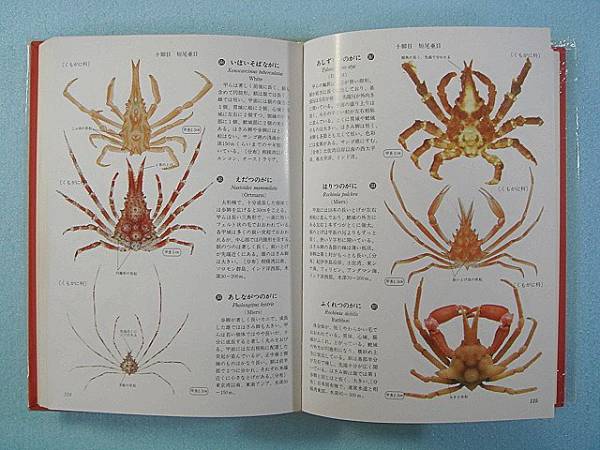 原色日本大型甲殻類II 原色日本大型甲殻類図鑑 2 保育社の