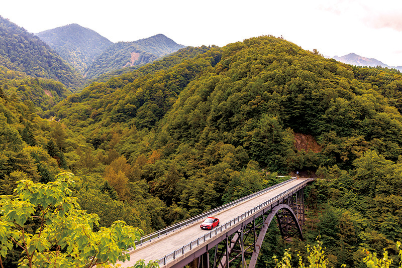 日本全国の秋を堪能する「秋道」〜Autumn road in Japan〜 Part.2