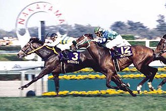 ウマ娘コラム】第1回:セイウンスカイの物語 ~黄金世代の隠れたエース