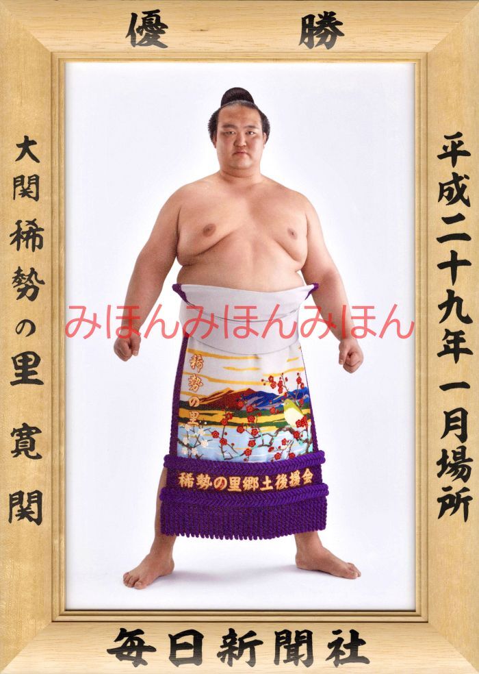 稀勢の里寛関 優勝ミニ額 大相撲ミニ額 大相撲優勝額 平成29