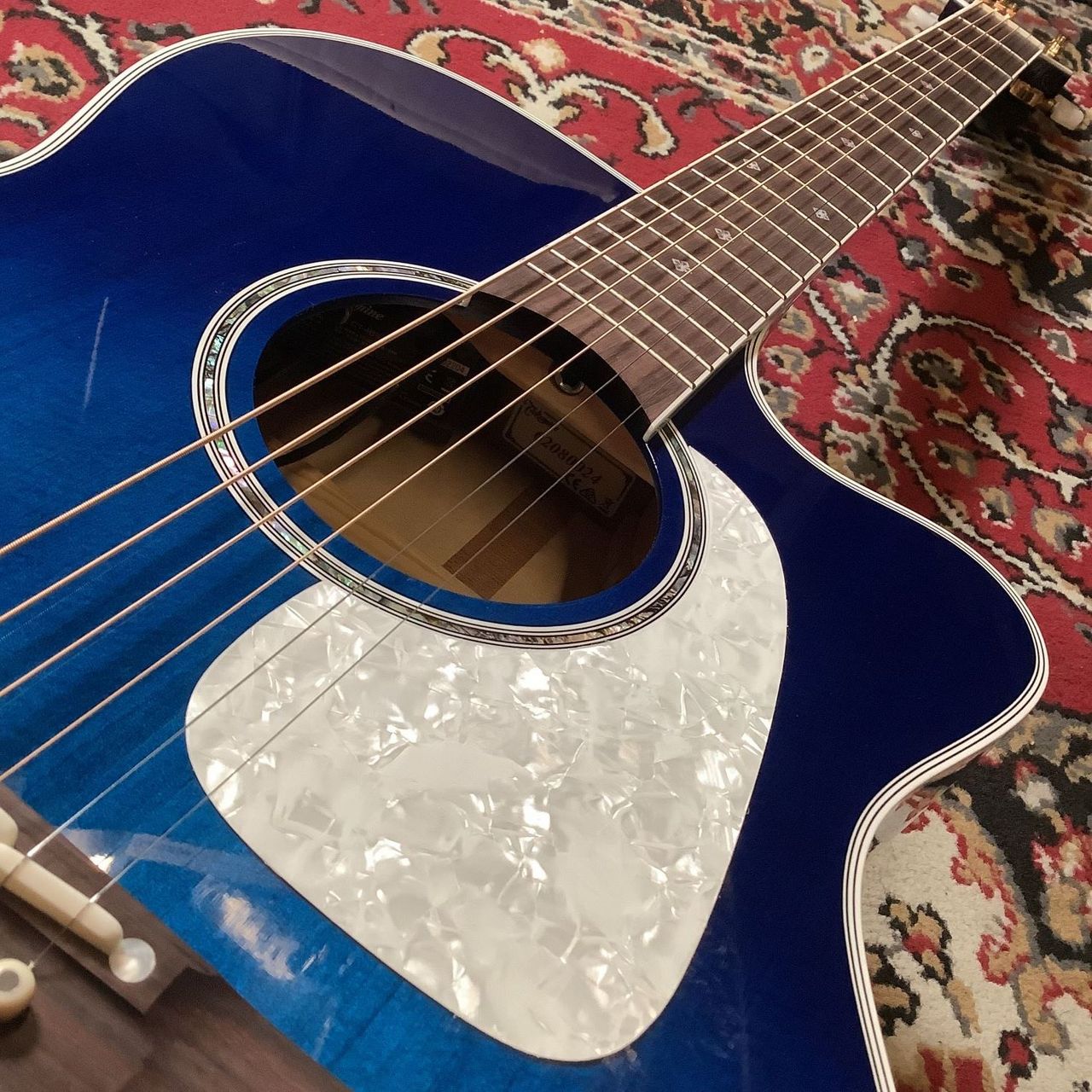 Takamine PTU70CS エレアコ アコースティックギター【現物画像】（新品