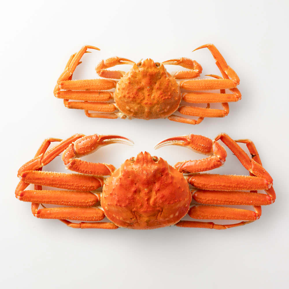 北海道えりも産 ワケあり蒸しオオズワイガニ5kg（10～25尾）【簡易包装