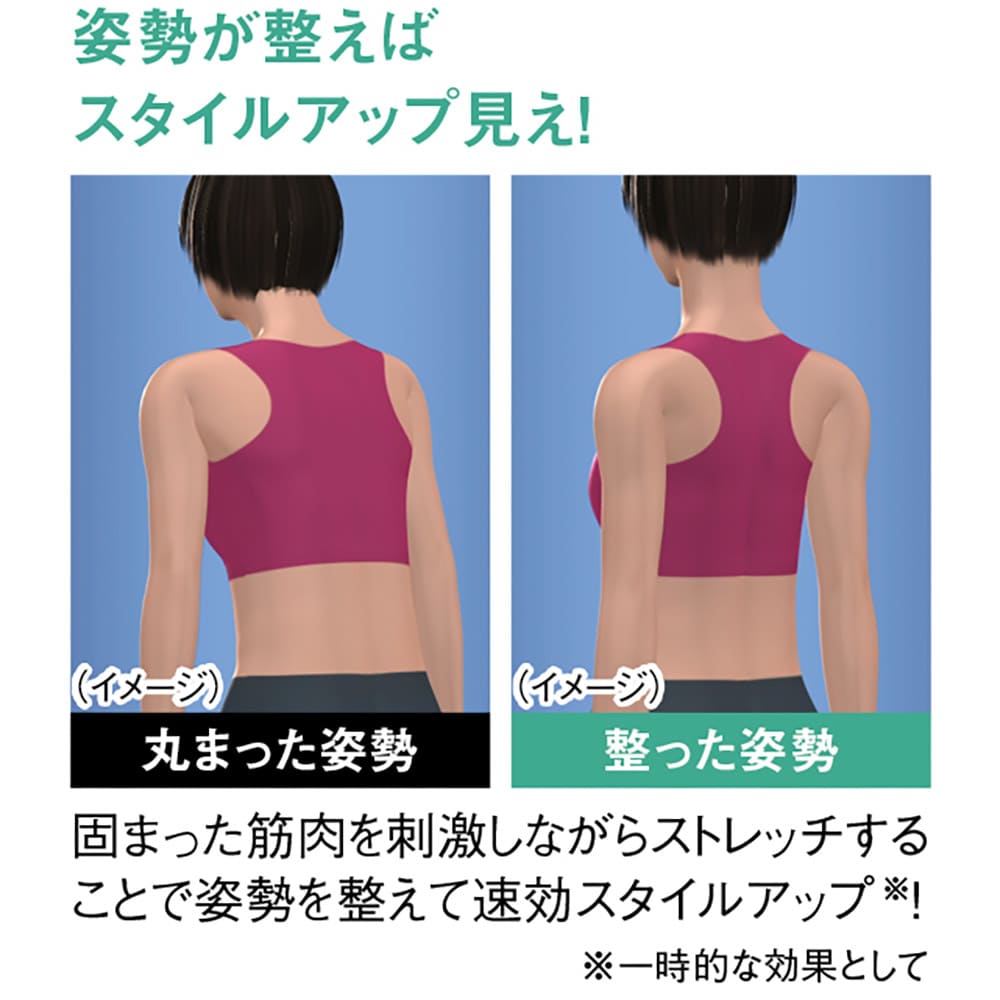 スリムビューティパッド 通販 - ディノス