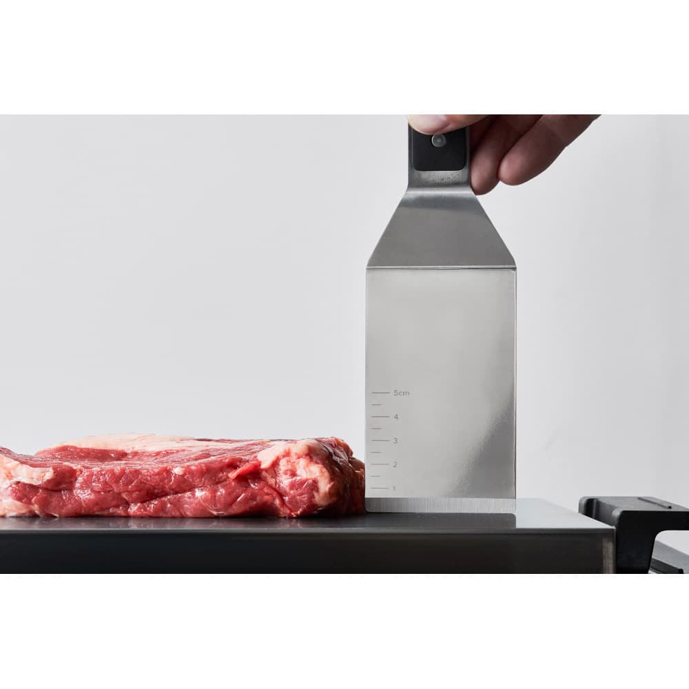 BALMUDA/バルミューダ The Plate Pro ザ・プレート プロ 通販 - ディノス