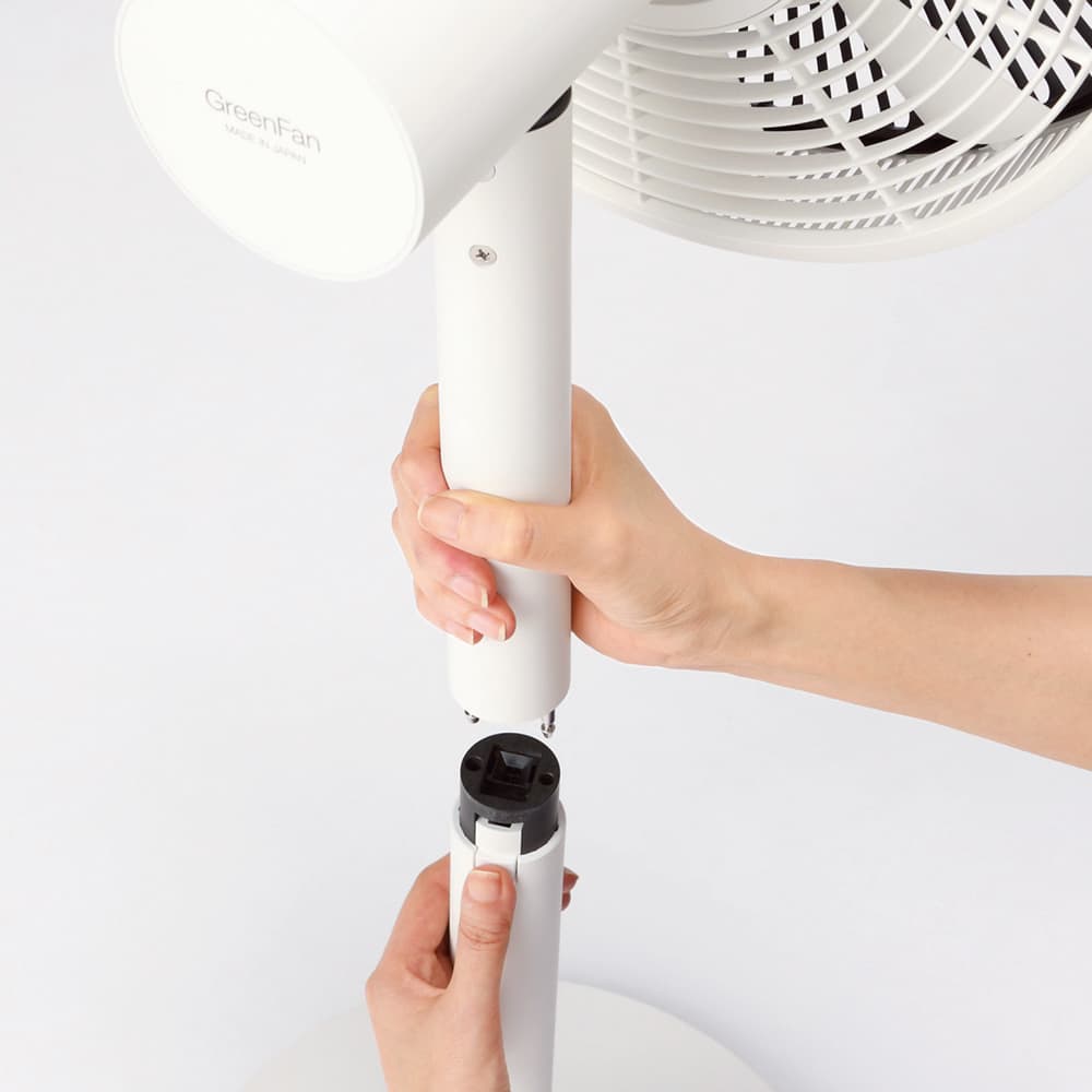 ザ・グリーンファン 限定色 シャンパンゴールド 収納袋付き 通販