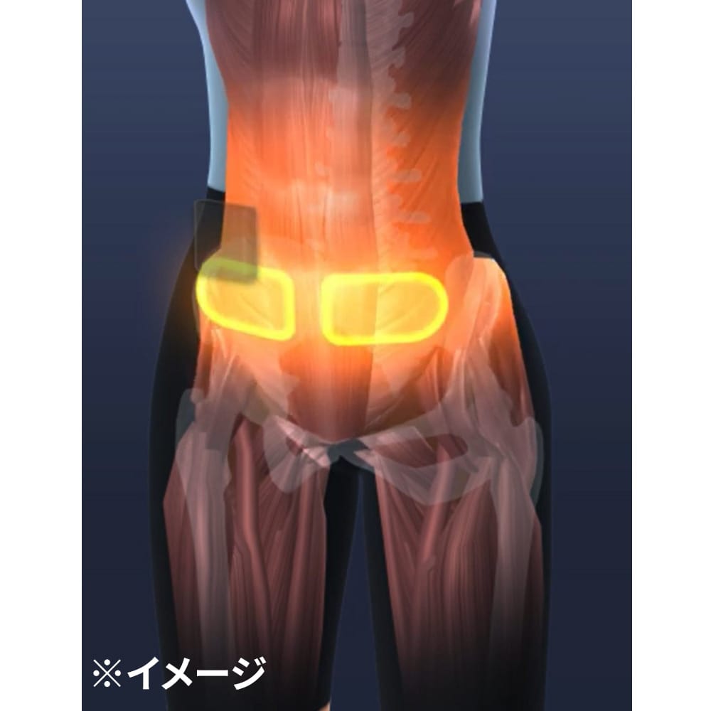 イーサンテ EMSトレーニングボトムス 通販 - ディノス