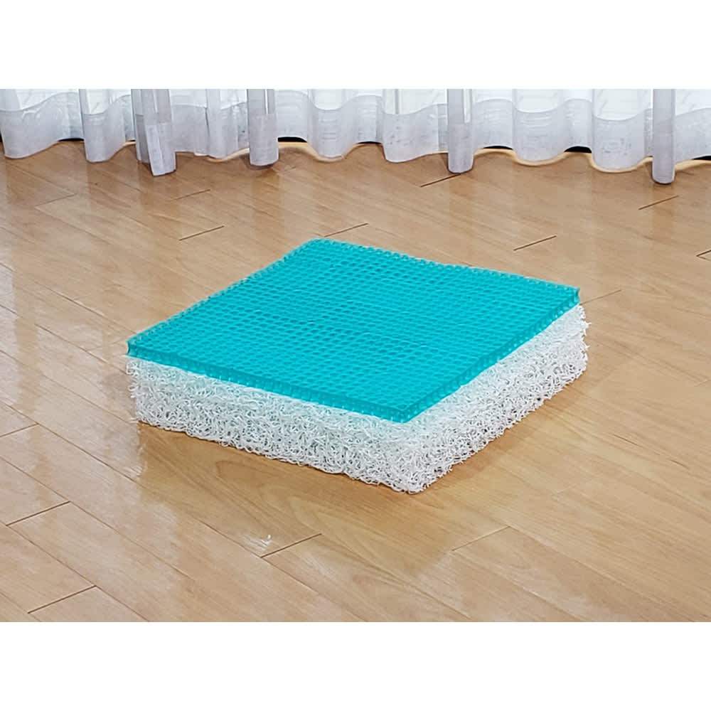 パーフェクトエクサ 通販 - ディノス