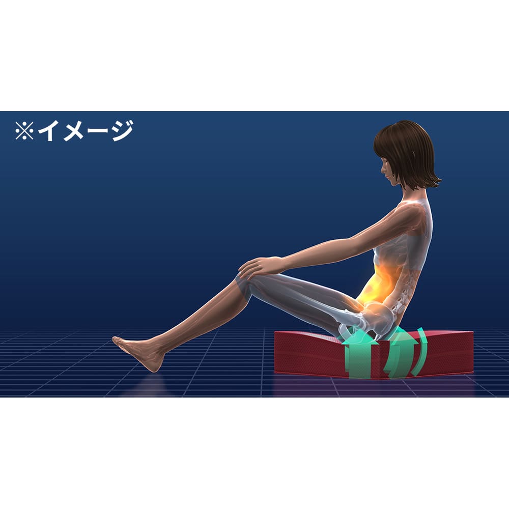 パーフェクトエクサ 通販 - ディノス