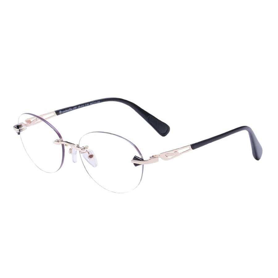 アイブレラ クリアエバーS 通販 - ディノス