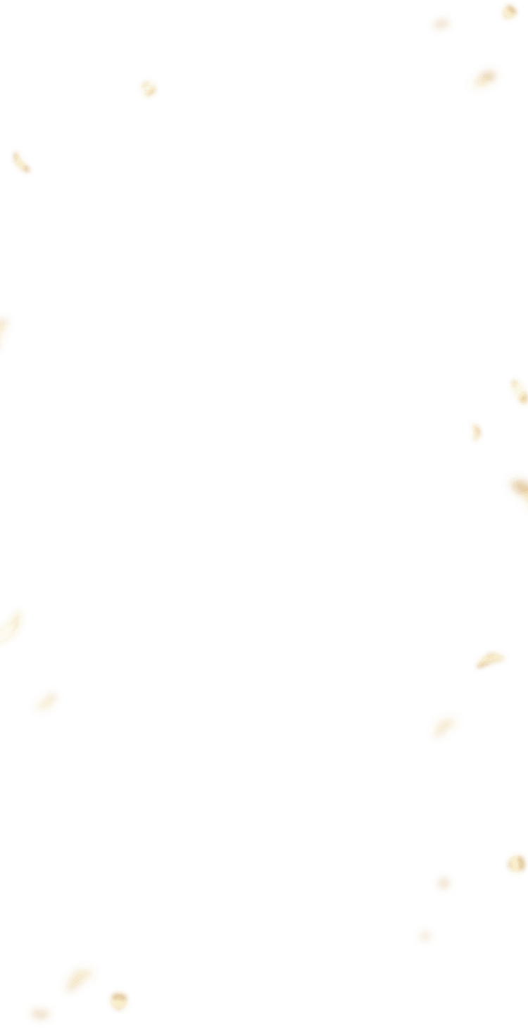 イミニ 公式サイト|イミニ10周年記念サイト