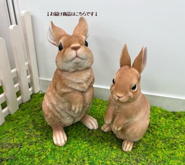 園芸ネット本店｜WooBia：見上げて立つベージュ白ウサギ（H12207-3