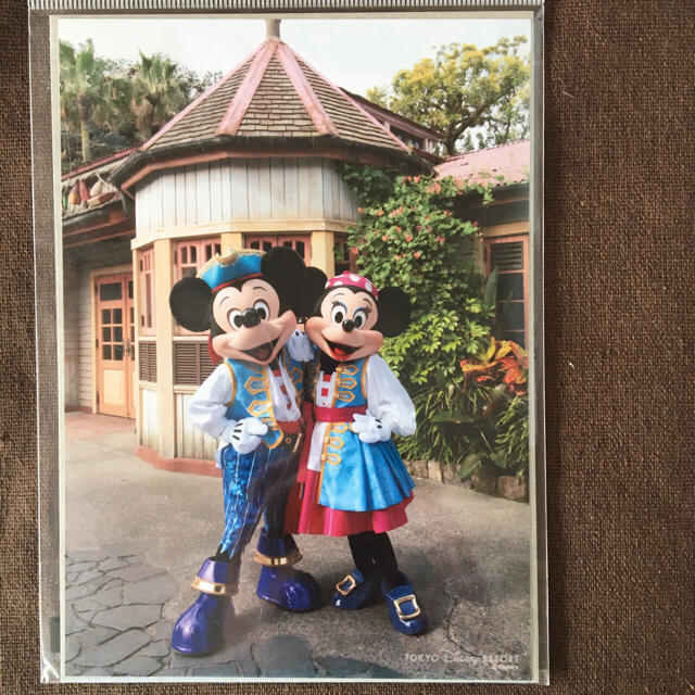 篠山紀信 ディズニーリゾート限定 ミッキーミニー 写真 2Lサイズの通販
