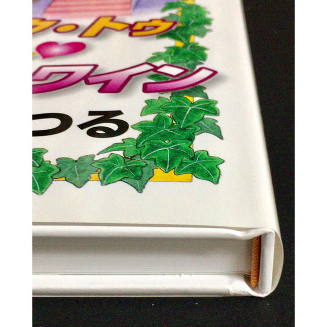 正規販売『バック・トゥ・The・かぼちゃワイン』三浦みつる☆180817の