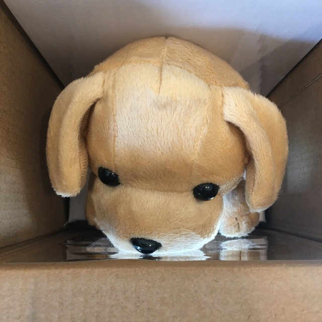 こえマネ わんちゃん【新品・即購入OK】の通販 by しろこ's shop｜ラクマ