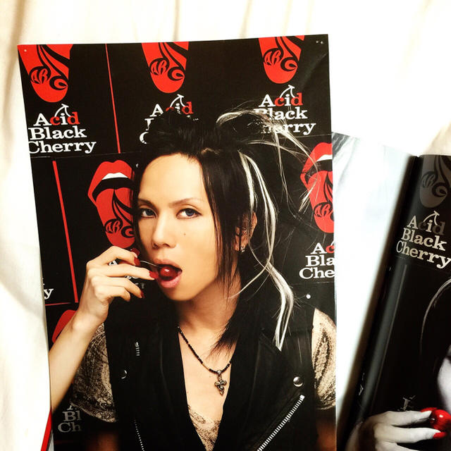 Acid Black Cherry🍒yasu写真集の通販 by a.i's shop🎀まとめ買いお
