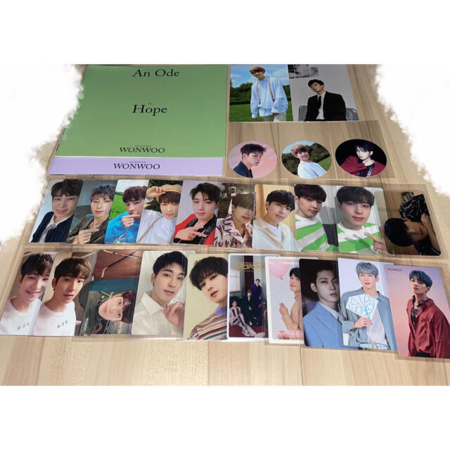 SEVENTEEN - ウォヌトレカ・グッズセットの通販 by めんま's shop