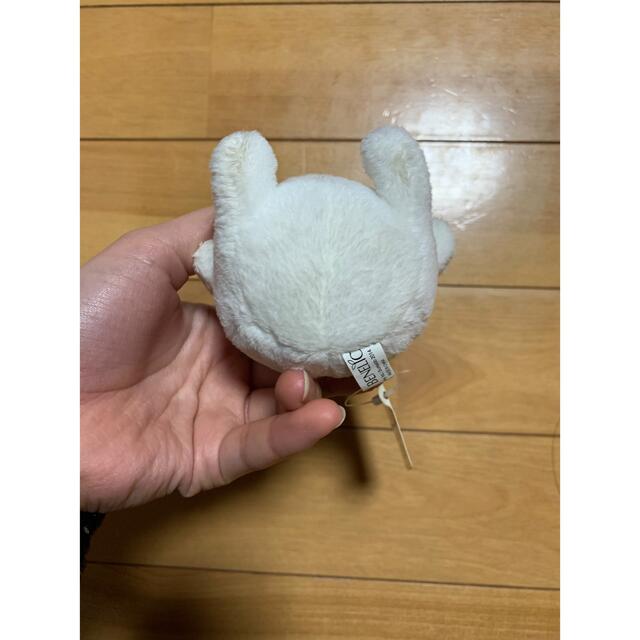 ショップ バムとケロ ぬいぐるみ タグ付き