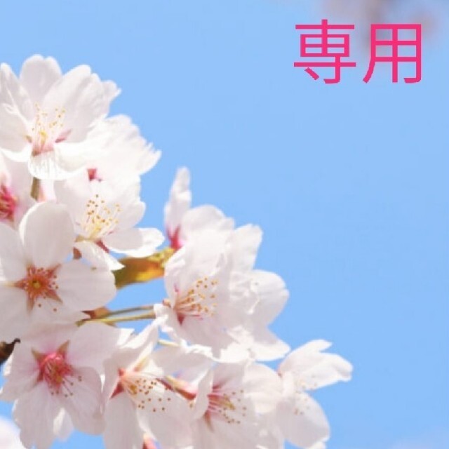 ♡ にいな*°♡様専用ページ ひな♡さま 専用ページ♡ - メルカリ