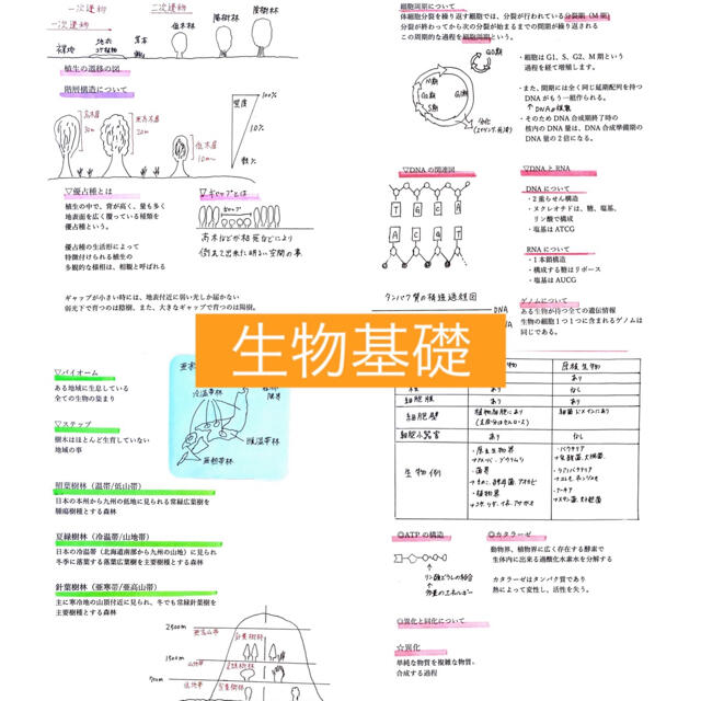 2022 高卒認定最速合格まとめノート生物基礎の通販 by mi｜ラクマ