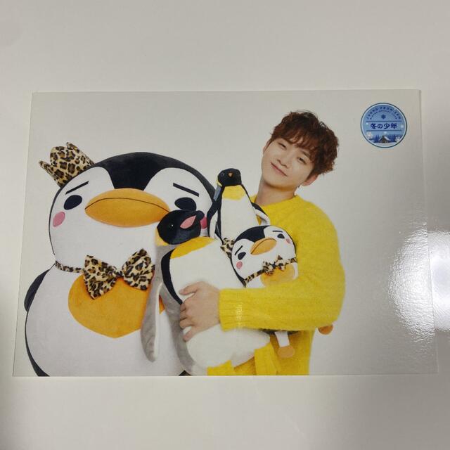 2PM JUNHO ジュノ『冬の少年』 トレカ 2点セットの通販 by MOMO's shop